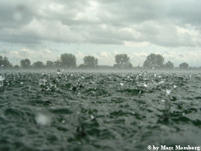 Regen