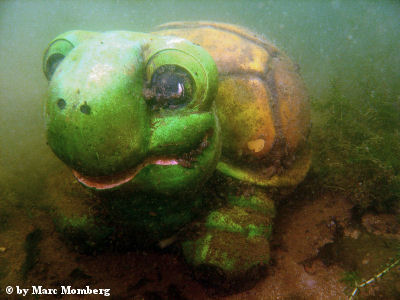 Schildkrte