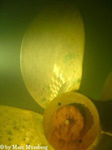 Schraube