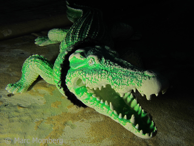 Kroko